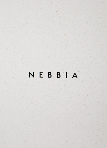 Nebbia 44