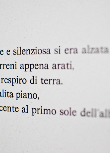 Nebbia 56