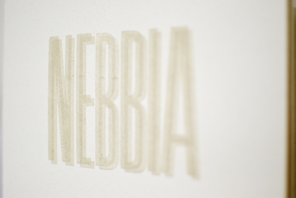 Nebbia 41